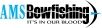 AMS 2017 Logo