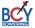 BCY 2017 Logo