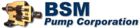 BSM Pump