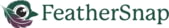 FeatherSnap 2024 Logo