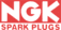 NGK Spark Plugs