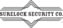 Surelock Security Logo