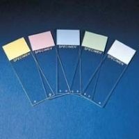 Erie Scientific Slide Colorfrost Pls Gold PK72 9951GL-PLUS, Case of 20 / Pack of 72