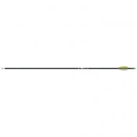 Gold Tip Fiberglass Arrows