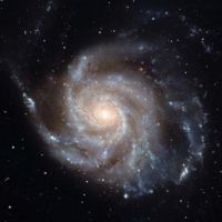 iCanvas The Pinwheel Galaxy (M101) by Stocktrek Images - Canvas Print