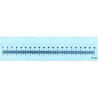 Leica Stage Micrometer 1in x 0.001in Graduations 10447037