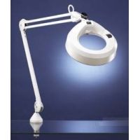 Luxo Corporation Replacement Bulb for Magnifier Circline 22W 31640