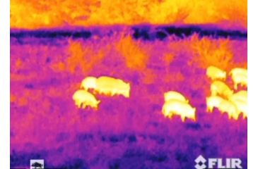 Image of Armasight Prometheus 5 Thermal Imaging Monocular, FLIR Tau 2 - 336x256, 30Hz Core, 75mm Lens TAT173MN7PROM51