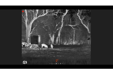 Image of ATN BlazeSeeker-207 1-8.8x Thermal Imaging Monocular 12 Micron, 256x192, Black, TIMNBLS207