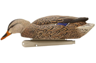 Image of Avian X Top Flight Duck Decoy, Back Water Mallard, 6 pk, AVX-AVX8070
