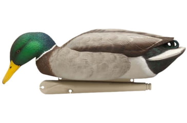 Image of Avian X Top Flight Duck Decoy, Back Water Mallard, 6 pk, AVX-AVX8070