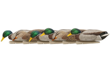 Image of Avian X Top Flight Duck Decoy, Back Water Mallard, 6 pk, AVX-AVX8070