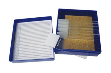 Image of Azer Scientific Control SLIDE, FUNGI-PAS ESCS-113