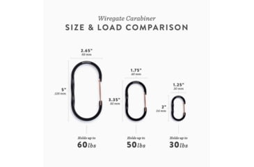 Image of Barebones Wiregate Carabiner, Large, Black, STC-618
