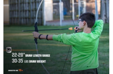 Image of Bear Archery Firebird Youth Bow / Bow Only / Right or Left Handed, Gray, AYB6601