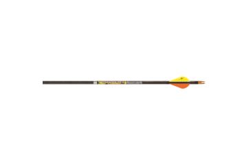 Image of Carbon Express Mayhem DS, Arrows 350 2 in. Vane 6 pk., 50877