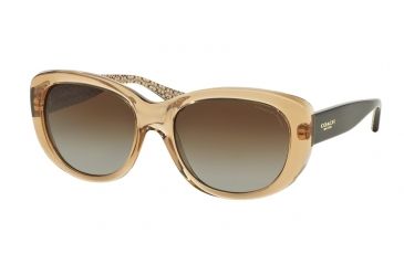 Image of Coach L071 DARCY HC8083 Prescription Sunglasses HC8083-5216T5-55 - Lens Diameter 55 mm, Frame Color Brown Crystal/Tort Sand Sig C