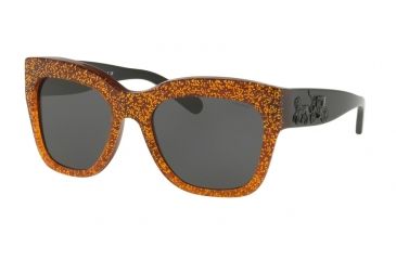 Image of Coach L1649 HC8213 Sunglasses 547187-56 - Amber Saddle Glitter Frame, Dark Grey Solid Lenses