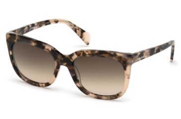 Image of Diesel DL0084 Sunglasses - Coloured Havana Frame Color