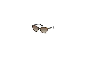 Image of DSquared DQ0209 Sunglasses - Black Frame Color