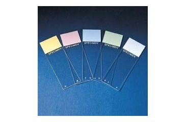 Image of Erie Scientific Slide Colorfrost Pls Aqua PK72 9951A-PLUS, Package
