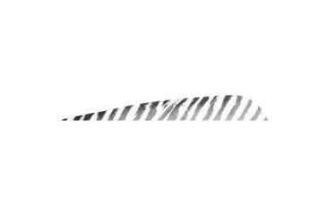 Image of Gateway Barred Feathers, White 5 in. RW 50 pk. 500RPBWH-50