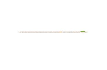 Image of Gold Tip XT Hunter Arrows, CHXTXT500A26