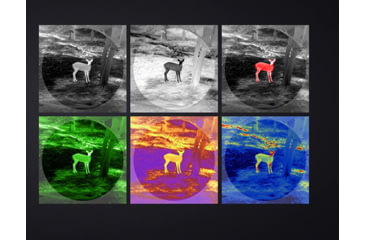 Image of Guide USA TA Gen2 Series TA431 1-4x35mm Clip-On Thermal Imaging, 384x288, Black, TA431