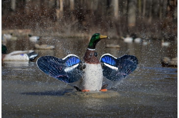 Image of Higdon Outdoors 53077 XS Splashing Flasher Mallard Drake Multi Color Rechargeable
