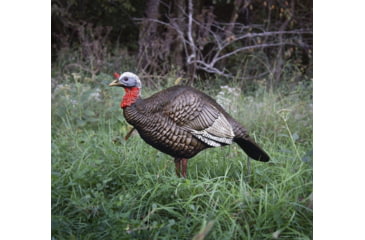Image of Higdon Outdoors Hard Body 1/4 Strut Jake Turkey Decoy, 63144