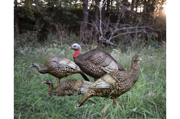 Image of Higdon Outdoors Hard Body 1/4 Strut Jake Turkey Decoy, 63144