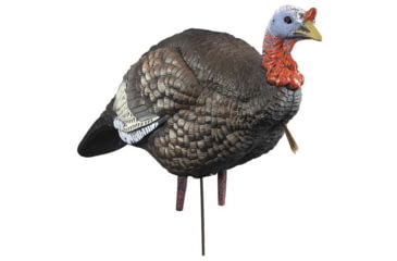 Image of Higdon Outdoors Hard Body 1/4 Strut Jake Turkey Decoy, 63144