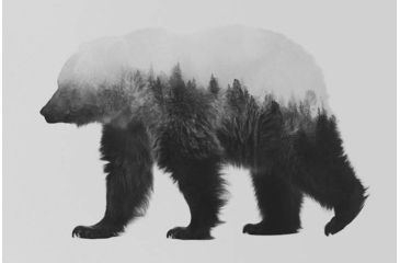 Image of iCanvas Bjorn I in B&amp;W by Andreas Lie Canvas Print, Multi, 18x12 ALE111-1PC3-18x12