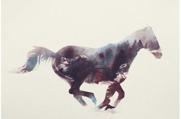 Image of iCanvas Horse I by Andreas Lie Canvas Print, Multi, 18x12 ALE6-1PC3-18x12