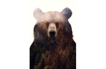 Image of iCanvas King Of The Forest by Andreas Lie Canvas Print, Multi, 18x12 ALE220-1PC3-18x12