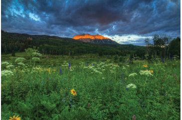Image of iCanvas Wildflowers And Mountain Majesty by William Sherrell Canvas Print, Multi, 18x12 SHL237-1PC3-18x12