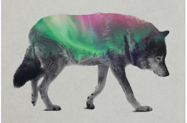 Image of iCanvas Wolf by Andreas Lie Canvas Print, Multi, 18x12 ALE159-1PC3-18x12