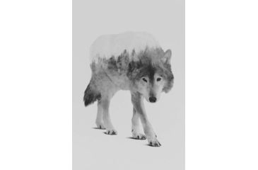 Image of iCanvas Wolf In The Woods II in B&amp;W by Andreas Lie Canvas Print, Multi, 18x12 ALE138-1PC3-18x12