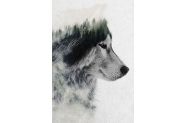 Image of iCanvas Wolf Stare by Andreas Lie Canvas Print, Multi, 18x12 ALE189-1PC3-18x12