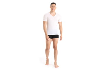 Image of Icebreaker Anatomica Short Sleeve V Neck T-Shirt - Men's, Snow, Large, IB103661104L