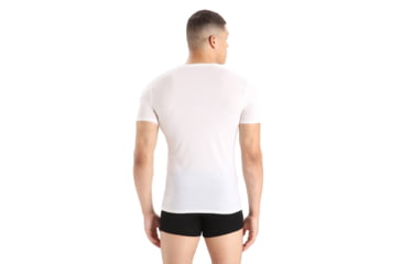 Image of Icebreaker Anatomica Short Sleeve V Neck T-Shirt - Mens, Snow, Large, IB103661104L