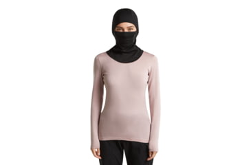 Image of Icebreaker Merino 260 Tech Long Sleeve Crewe Top - Womens