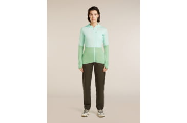 Image of Icebreaker Merino Blend 200 RealFleece Descender Long Sleeve Zip Hoodie - Womens
