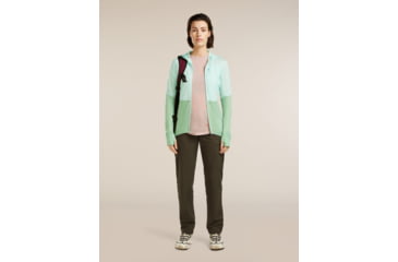 Image of Icebreaker Merino Blend 200 RealFleece Descender Long Sleeve Zip Hoodie - Womens