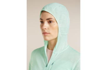 Image of Icebreaker Merino Blend 200 RealFleece Descender Long Sleeve Zip Hoodie - Womens