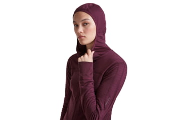 Image of Icebreaker Merino Blend 300 RealFleece Descender Long Sleeve Zip Hoodie - Womens
