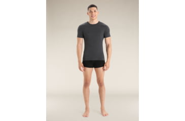 Image of Icebreaker Merino 150 Anatomica SS Crewe - Mens, Jet Hthr, Medium, IB103033011M