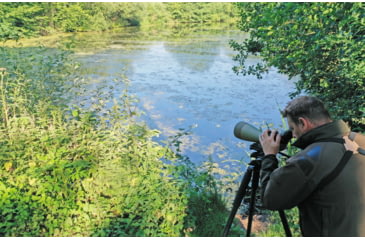 Image of Kowa TSN-99A Pure Fluorite Spotting Scope with TE-11WZ II 30-70x Zoom Eyepiece, Angled, Green, TSN-99A ZM SET
