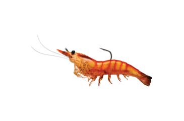 Image of Live Target Rigged Shrimp Soft Plastic,pnk shrimp,2/0 SSF100SK915