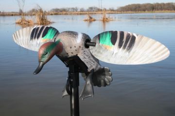 Image of Mojo Green Wing Teal Decoy, Elite Series HW2474